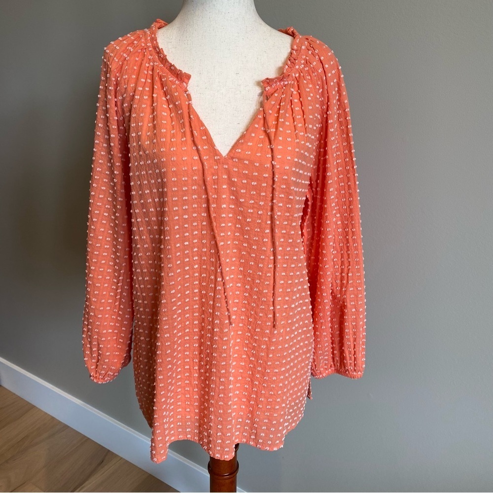 NWT Loft size Small Muted Orange Embroidered Polka Dots